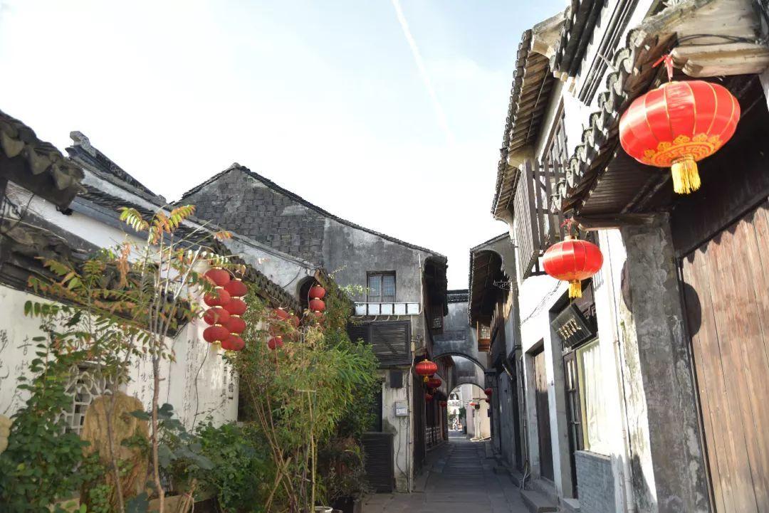 精灵的冒险之旅